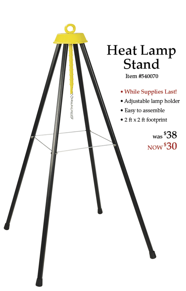 Heat Lamp Stand