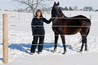 Winter Horse