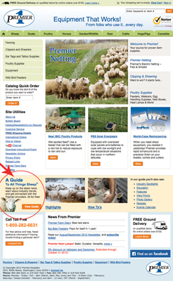 All things Sheep