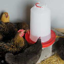 Heated Waterer