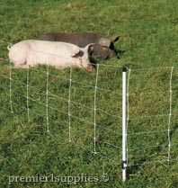 Creating a hog paddock