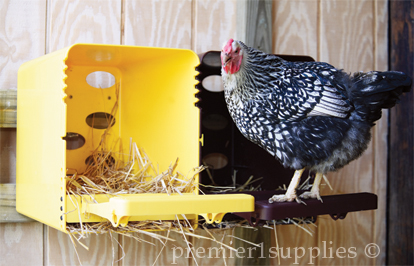 Make sure your nesting boxes offer adequate ventilation for your birds