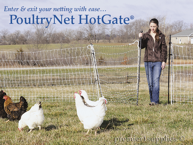 Using a Premier HotGate for fast, safe access to the poultry yard.