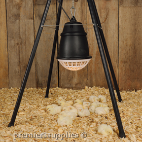 Prima Heat Lamp