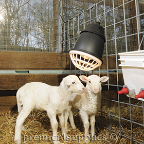 Lambing Jug Panels