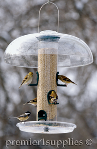 Birds feeding on a Aspects feeder