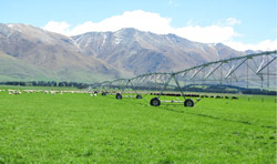 Irrigation in New Zealand