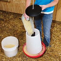 Handy Poultry Feeder