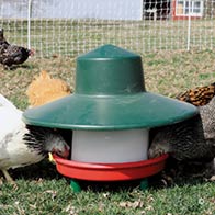 Handy Poultry Feeder