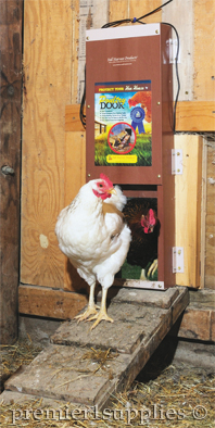 Chick Box being used