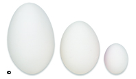 Ceramic nest Eggs