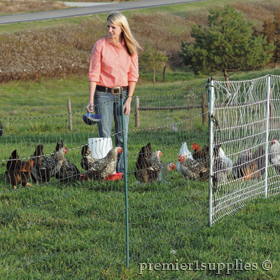 Poultry Fencing