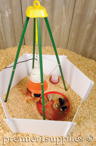 Reuseable brooder helps keeps chicks safe and reduces the exposure to cold drafts.