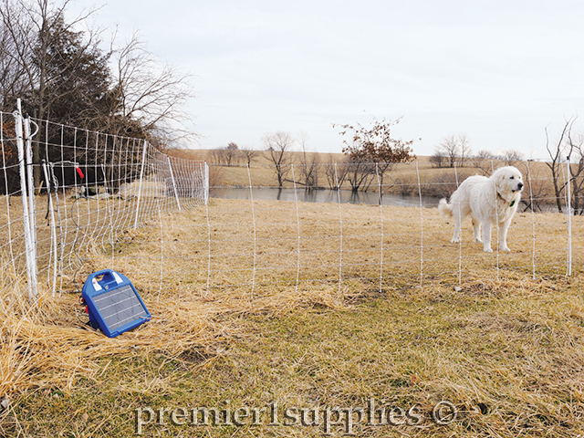 Premier's new PRS during field use. Be sure to orient the unit to the south for optimal sun exposure.