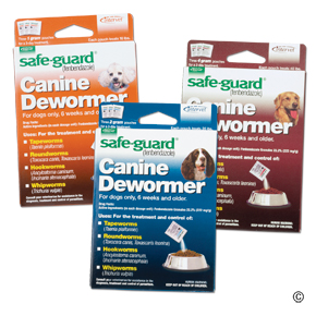 hookworm treatment dogs hookworms in dogs hookworm treatment safe guard dewormer breeds picture hookworm treatment dogs hookworms in dogs hookworm treatment safe guard dewormer breeds picture