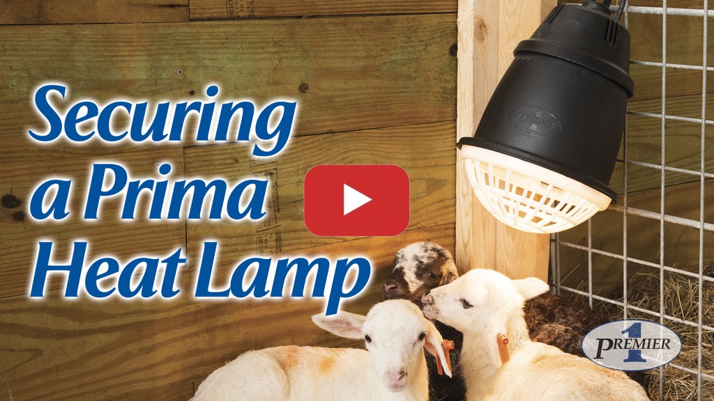 How to properly secure a Prima Heat Lamp
