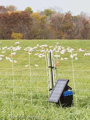 Solar IntelliShock Electric Fence Charger