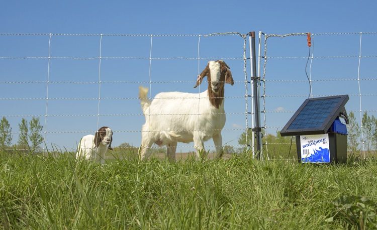 Solar Energizers for Electric Fence