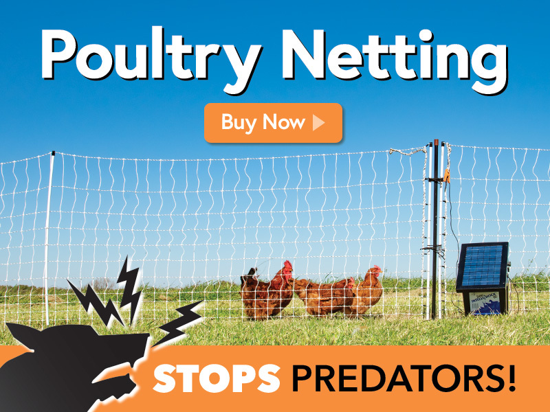 https://www.premier1supplies.com/assets/images/landing/banner--poultry-fencing-buy-now-phone.jpg