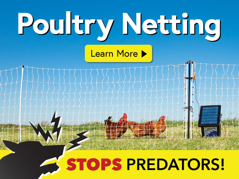 Electric Net Fence for Poultry and Chickens