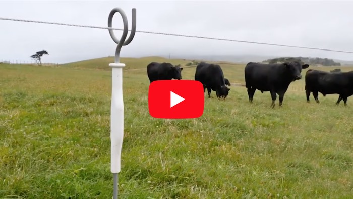 Multistrand Fencing Products Video