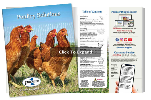 2021 Poultry Solutions Digital Catalog