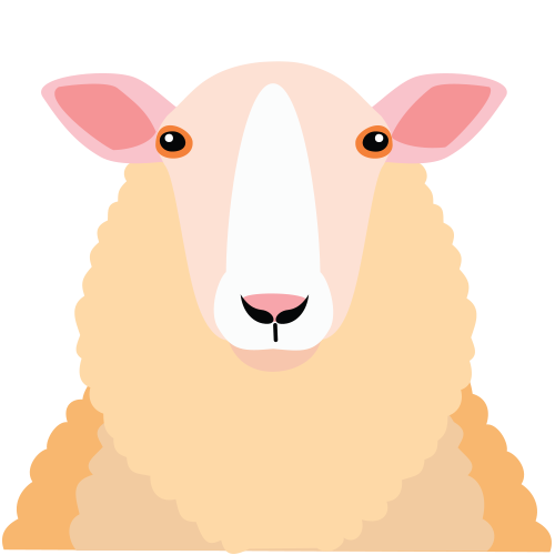 Sheep