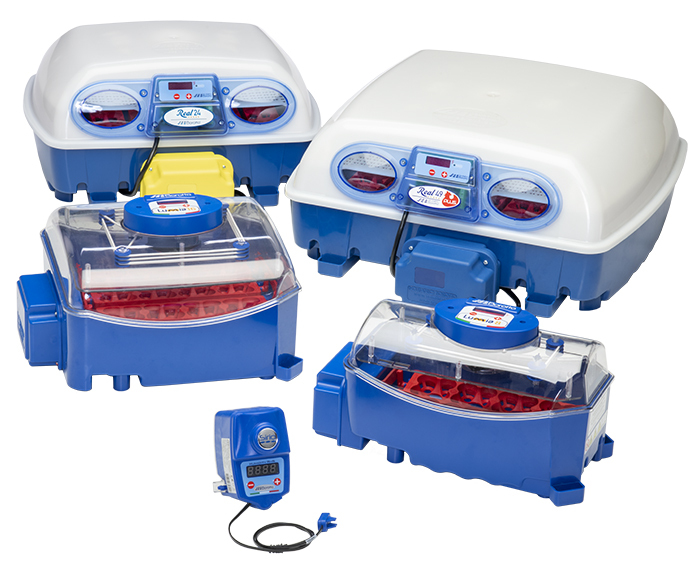 Borotto® egg incubators for poultry