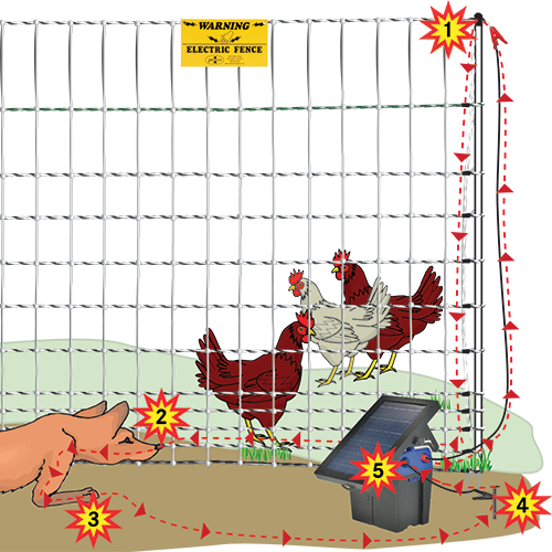 How an electric fence works