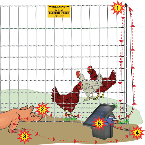 Electric Fence Wire Energizer for Electric Fence Insulators