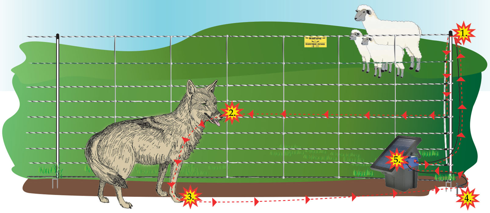 Diagram of how electric netting works