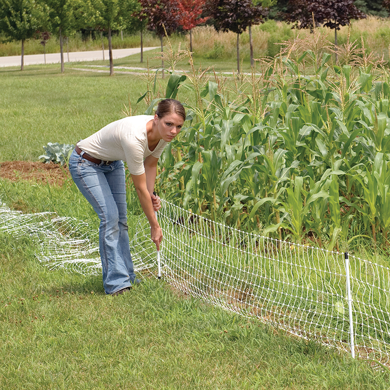 Electric Fence for Gardens, Orchards, Vineyards and Beehives