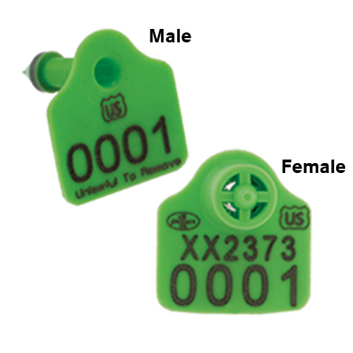 MiniTag Ear Tags