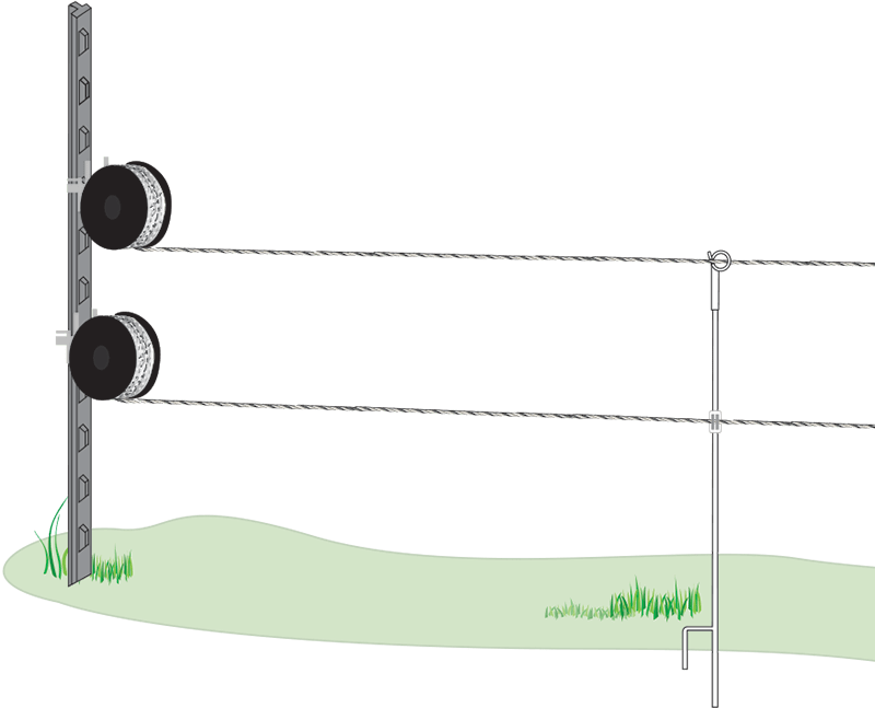 Multistrand