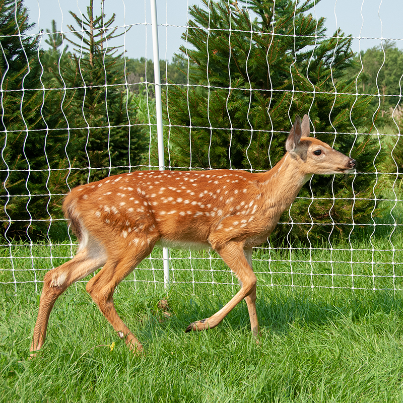 Electric Net Anti-Deer Fence