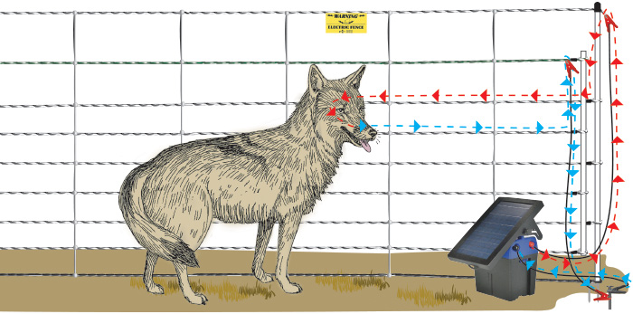 Pos/Neg electric fence