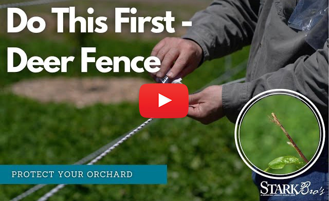 Deer Fence — Don’t Forget The Bait!
