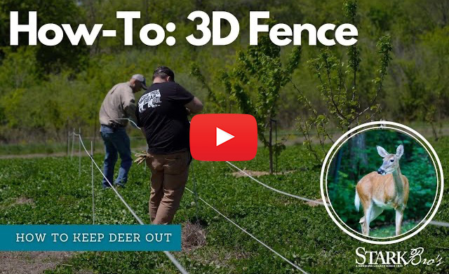 Step-by-step Guide: Setting Up a 3D Electric Fence for Deer Protection