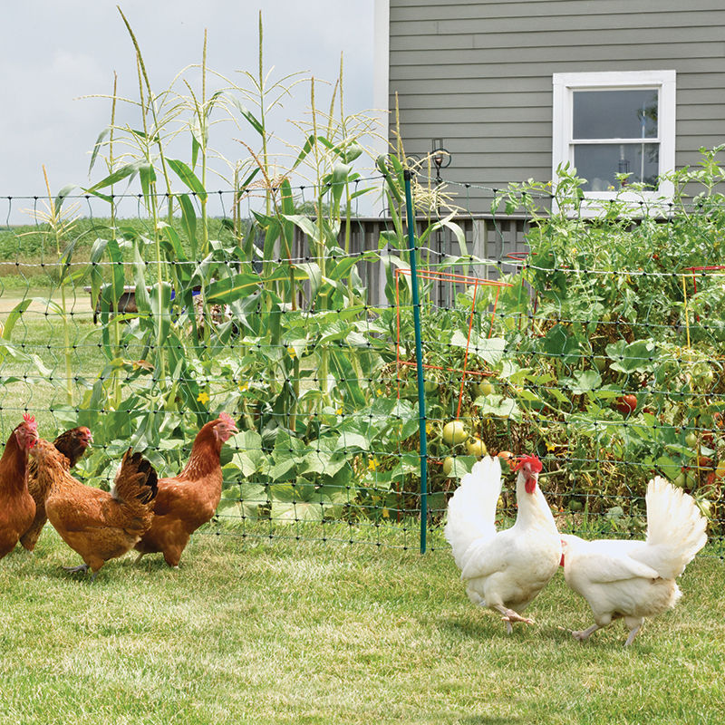 PoultryNet® Plus 12/42/3