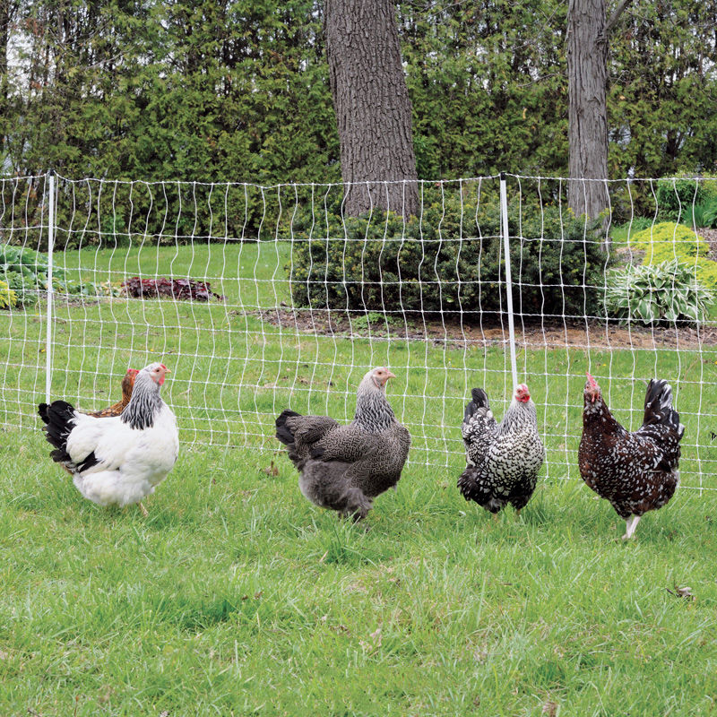 Green Electric Fence Poultry Netting