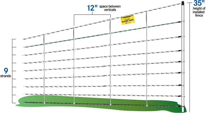 Premier’s Net Number System