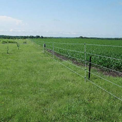Anti-Deer Fence (2D Scented 5-Strand)