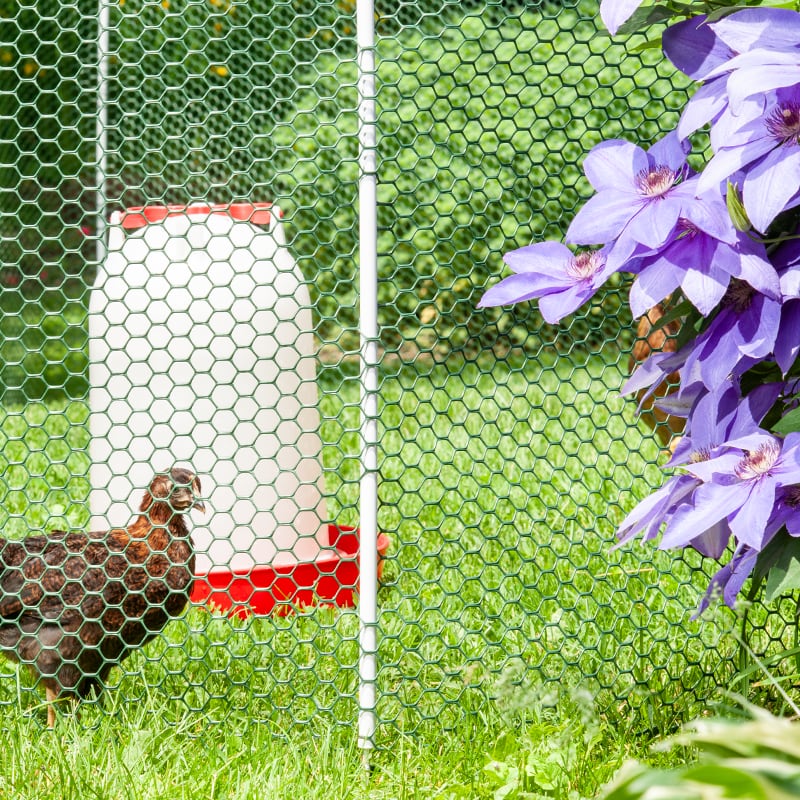 Electric Fence and Netting for Poultry - Premier1Supplies