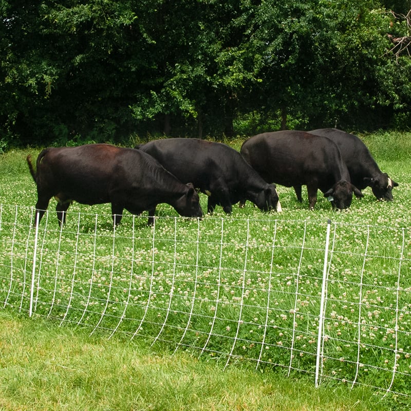 Electric Fence and Netting for Cattle - Premier1Supplies