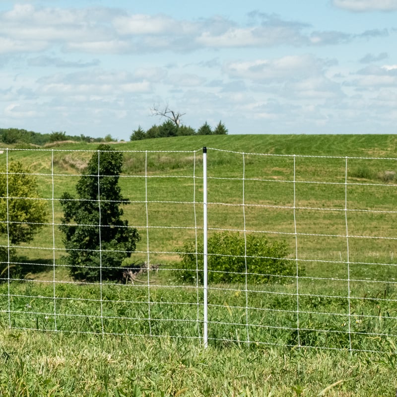 Electric fence - ElectroFence® & ElectroFence® Plus 11/48/12 Electric Netting