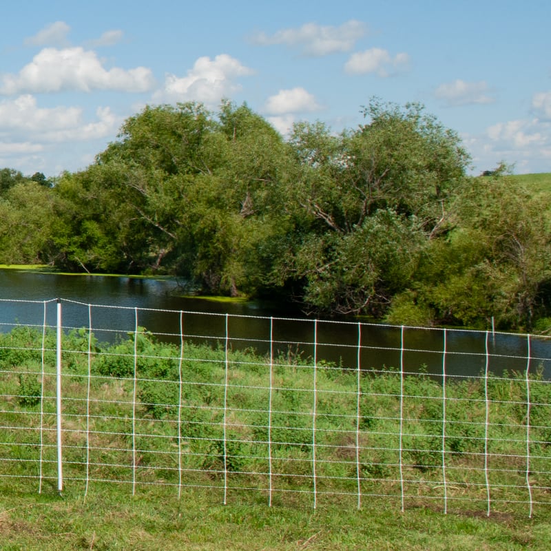 Electric fence - ElectroStop® and ElectroStop® Plus 10/42/12 Electric Netting