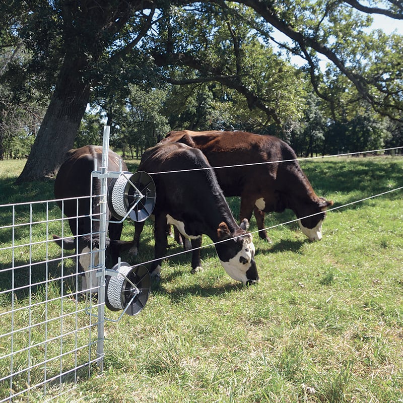 Electric cattle fence discount