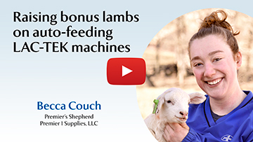 Raising bonus lambs on auto-feeding LAC-TEK machines