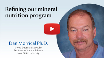 Refining our mineral nutrition program