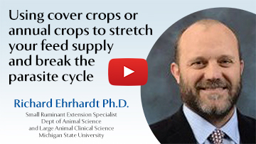 Using cover crops or annual crops to stretch your feed supply and break the parasite cycle